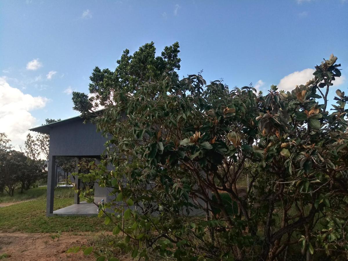 Chales Recanto Da Baleia Alto Paraíso de Goiás Exteriör bild